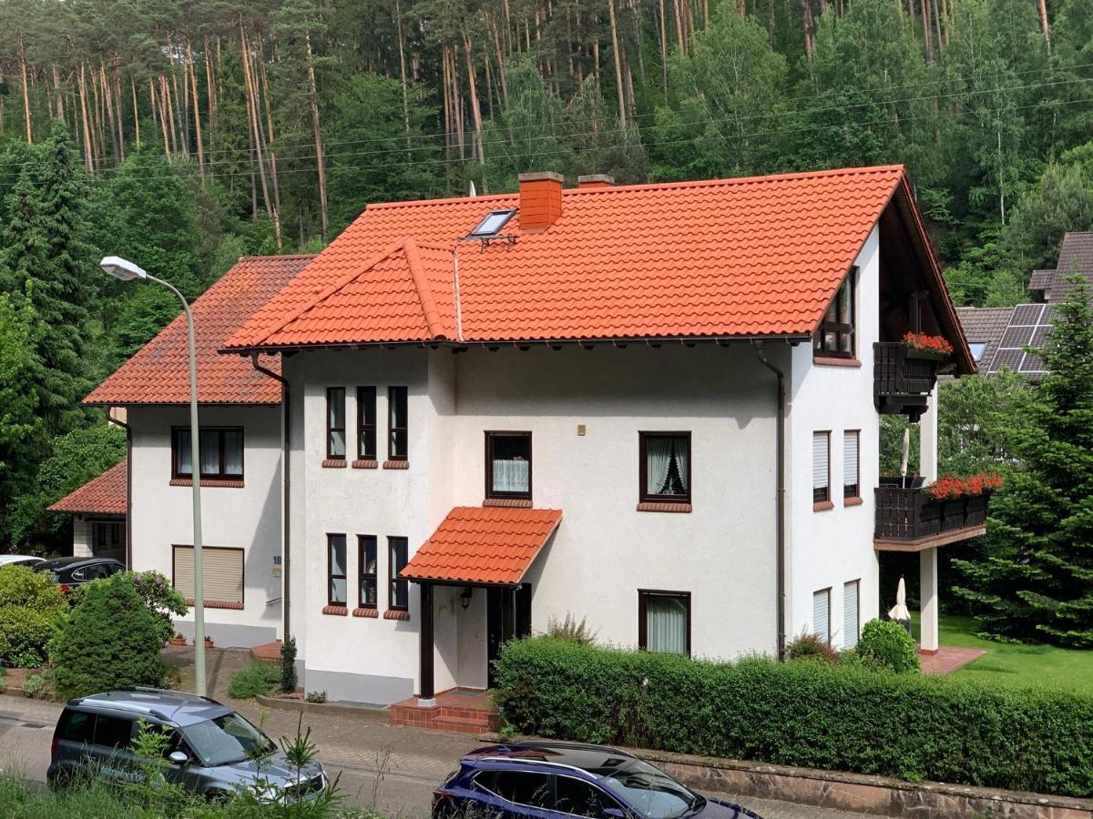 Ferienwohnungen Im Herzen Des Pfaelzerwaldes Elmstein Eksteriør billede