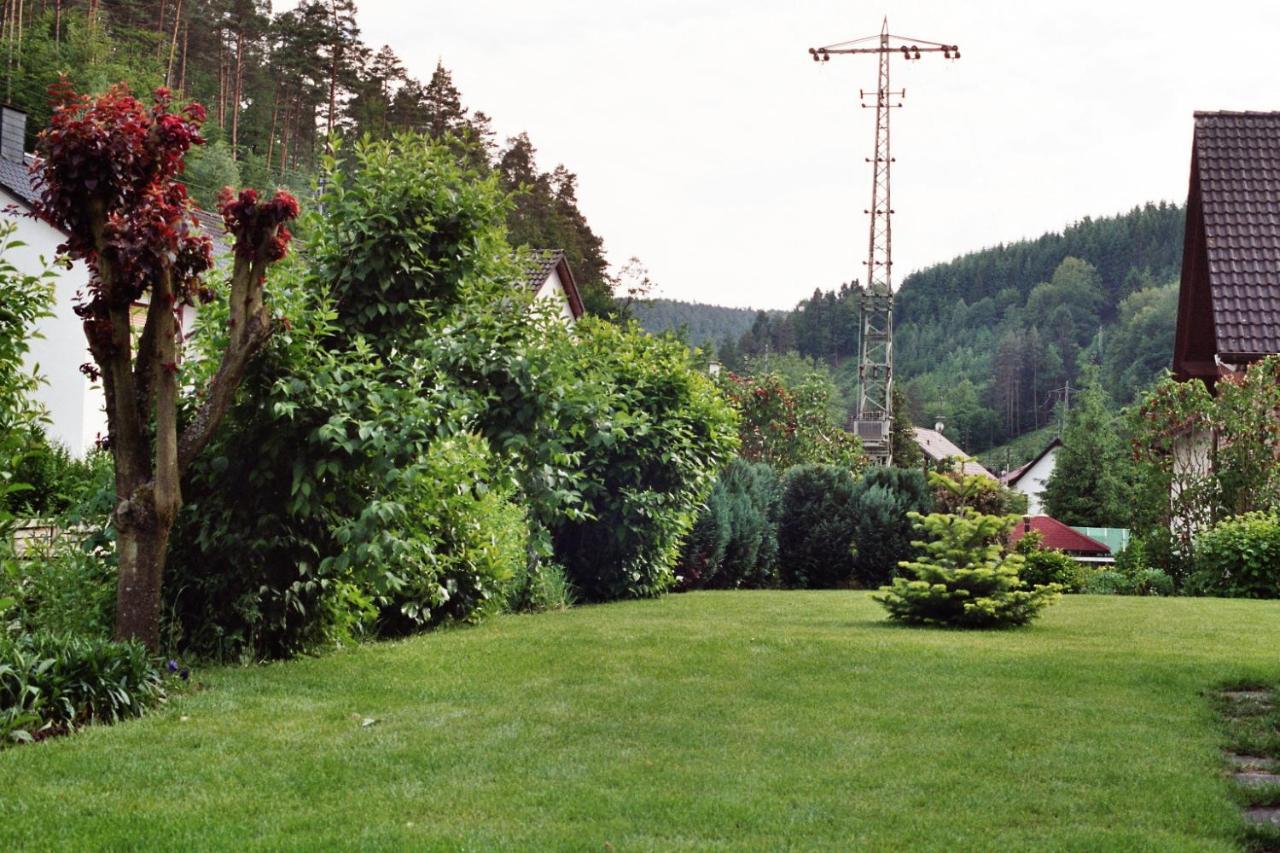 Ferienwohnungen Im Herzen Des Pfaelzerwaldes Elmstein Eksteriør billede